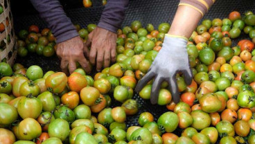 Ini Daftar Buah dan Sayuran yang Bisa Bikin Kulit Glowing, Coba Yuk