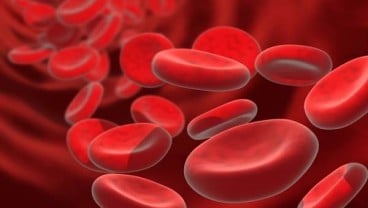 Mematikan! Ini Penyebab dan Cara Meningkatkan Kadar Hemoglobin Rendah