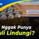 Ingat! Ini Cara Beli Minyak Goreng Curah Gunakan PeduliLindungi