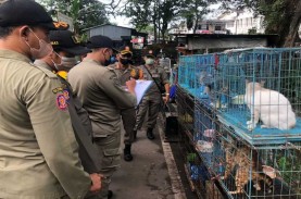 Perdagangan Satwa di Splendid Ditertibkan