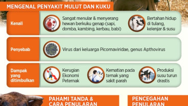 Peternak Wajib Kenali Penyebab dan Ciri PMK untuk Lindungi Ternak