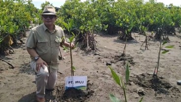 Tanam Ribuan Mangrove di Pesisir Utara Jabar, MUJ Ingin Wariskan Perbaikan Lingkungan