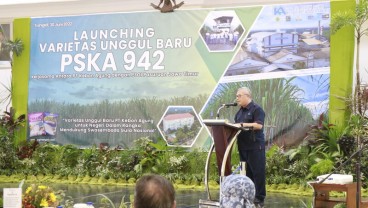 Kebon Agung Kembangkan Tebu Varietas Anyar Sokong Produksi Gula