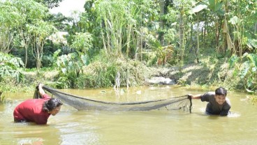 Berdayakan Masyarakat, PTBA Ubah Lahan Bekas Tambang Jadi Tambak Ikan