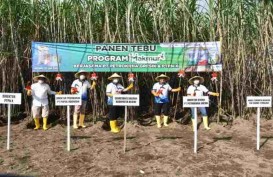 Realisasi Pupuk Program Makmur Petrokimia Gresik Sudah Mencapai 57.820 Ha