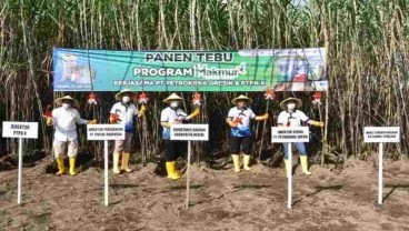 Realisasi Pupuk Program Makmur Petrokimia Gresik Sudah Mencapai 57.820 Ha