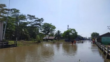 Banjir di Bengkulu, Begini Luasan Dampaknya