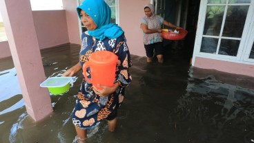 Banjir Air Pasang di Melauboh Paksa Warga Mengungsi