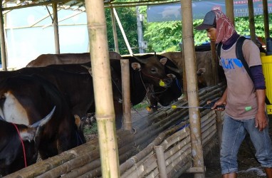 Sambut Iduladha, Wilmar Salurkan 148 Hewan Kurban Termasuk di Pelintung Riau