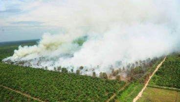 Sebanyak 33 Titik Panas Terdeteksi oleh BMKG di Kaltim