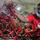 Astaga! Harga Cabai Merah Naik Hampir Rp100.000 per Kilogram