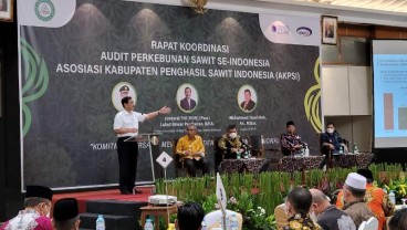Harga TBS Sawit Anjlok, Luhut Janji Turunkan Pungutan Ekspor CPO
