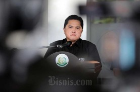 Etihad dan Emirates Mau Investasi ke Garuda? Erick…