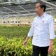 Jokowi Ungkap Peran Kemandirian Pangan terhadap Penurunan Stunting