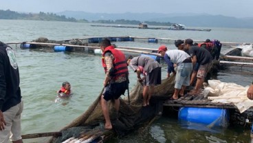 Ratusan Keramba Jaring Apung Ilegal di Jatigede Dibongkar