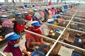Aturan Baru Sri Mulyani Bikin Percepat Sunset Industri Rokok, Ekonom: Pemerintah Harus Pikirkan Nasib Pekerja