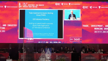 TIIWG G20: Pemerintah Dorong Investasi Berkelanjutan, Adil, dan Merata 