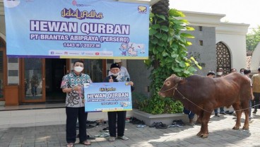 Berbagi Sesama Sambut Idul Adha, Brantas Abipraya Siapkan 31 Hewan Kurban 