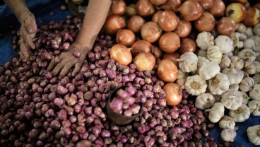 Harga Bawang Merah Situbondo Mencapai Rp80.000 per Kilogram