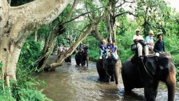 Turis Asing Mulai Kunjungi Songkhla setelah Thailand Cabut Pembatasan Covid-19