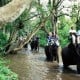 Turis Asing Mulai Kunjungi Songkhla setelah Thailand Cabut Pembatasan Covid-19