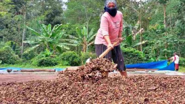 Jelajah Kopi Jatim 2022, Potensi Hasil Bumi Tanah Gumitir