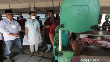 Vaksinasi PMK Jatim 80 Persen. 1.035 Ekor Sapi Dipotong Paksa