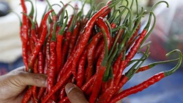 Inflasi Konsisten Naik di Juli 2022, Harga Pangan Jadi Biang Kerok