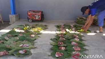 Daun Jati Bagus untuk Membungkus Daging Hewan Kurban