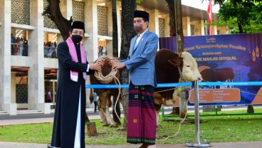 Ini Momen Jokowi Serahkan Sapi Kurban 1 Ton ke Masjid Istiqlal