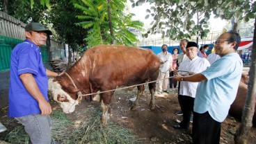 Iduladha 1443 H, Gereja Katedral Sumbang Sapi Kurban ke Masjid Istiqlal