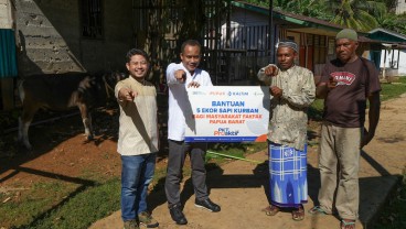 Lebih Dekat dengan Warga Fakfak, PKT Salurkan Bantuan 6 Sapi Kurban