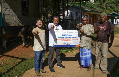 Lebih Dekat dengan Warga Fakfak, PKT Salurkan Bantuan 6 Sapi Kurban