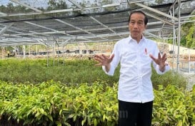 Jokowi Sentil Mendag: Fokus Turunkan Harga Minyak Goreng, Jangan Kampanye!