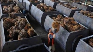 Tujuh Pabrik Kelapa Sawit di Sumut Tutup