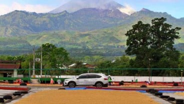 Jelajah Kopi Jatim 2022, Manjakan Mata di Penginapan Kebun Kopi Gunung Ijen