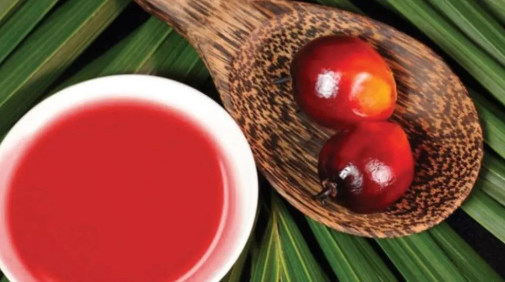 Minyak makan merah (Red palm oil) / Istimewa