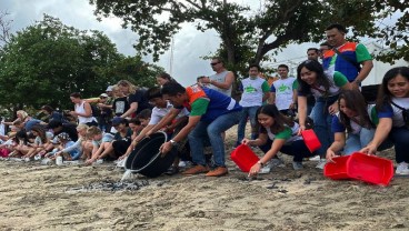 Bantu Ekosistem, BRINS Lepas Tukik di Pantai Kuta