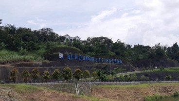 Ngeri! Ratusan Ekor Monyet Rusak Fasilitas di Waduk Jatibarang