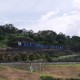 Ngeri! Ratusan Ekor Monyet Rusak Fasilitas di Waduk Jatibarang