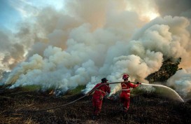 Gelombang Panas di Eropa Sebabkan Ribuan Hektare Lahan Terbakar dan Lebih dari 16 Ribu Orang Mengungsi