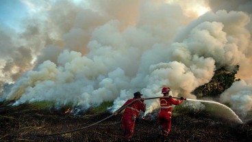 Gelombang Panas di Eropa Sebabkan Ribuan Hektare Lahan Terbakar dan Lebih dari 16 Ribu Orang Mengungsi