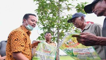 Sulsel Salurkan 1,2 Juta Kg Benih Padi Mandiri