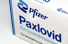 Apa Itu Paxlovid? Obat yang Diklaim Ampuh Turunkan Risiko Kematian Akibat Covid-19