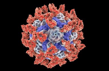 Parechovirus Rentan pada Bayi dan Anak Kecil, Berikut Gejala dan Pengobatannya