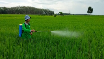 Petani di OKI Beralih ke Pupuk Organik Akui Lebih Hemat Biaya