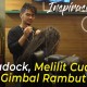 Dreadock, Melilit Cuan dari Gimbal Rambut