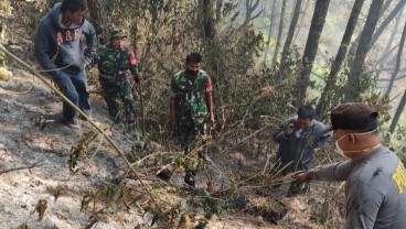 50 Ha Hutan Lindung Danau Toba Ludes Terbakar, 1 Warga Meninggal