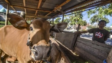 Delapan Kabupaten di NTB Masih Menjadi Kantong Kemiskinan Ekstrem