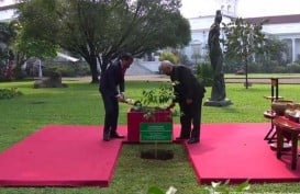 Momen Jokowi dan Presiden Timor Leste Jose Ramos Horta Tanam Pohon Gaharu